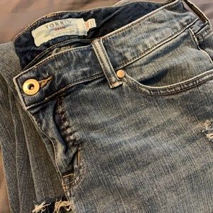 Torrid Denim Jean 14 Short/Petite